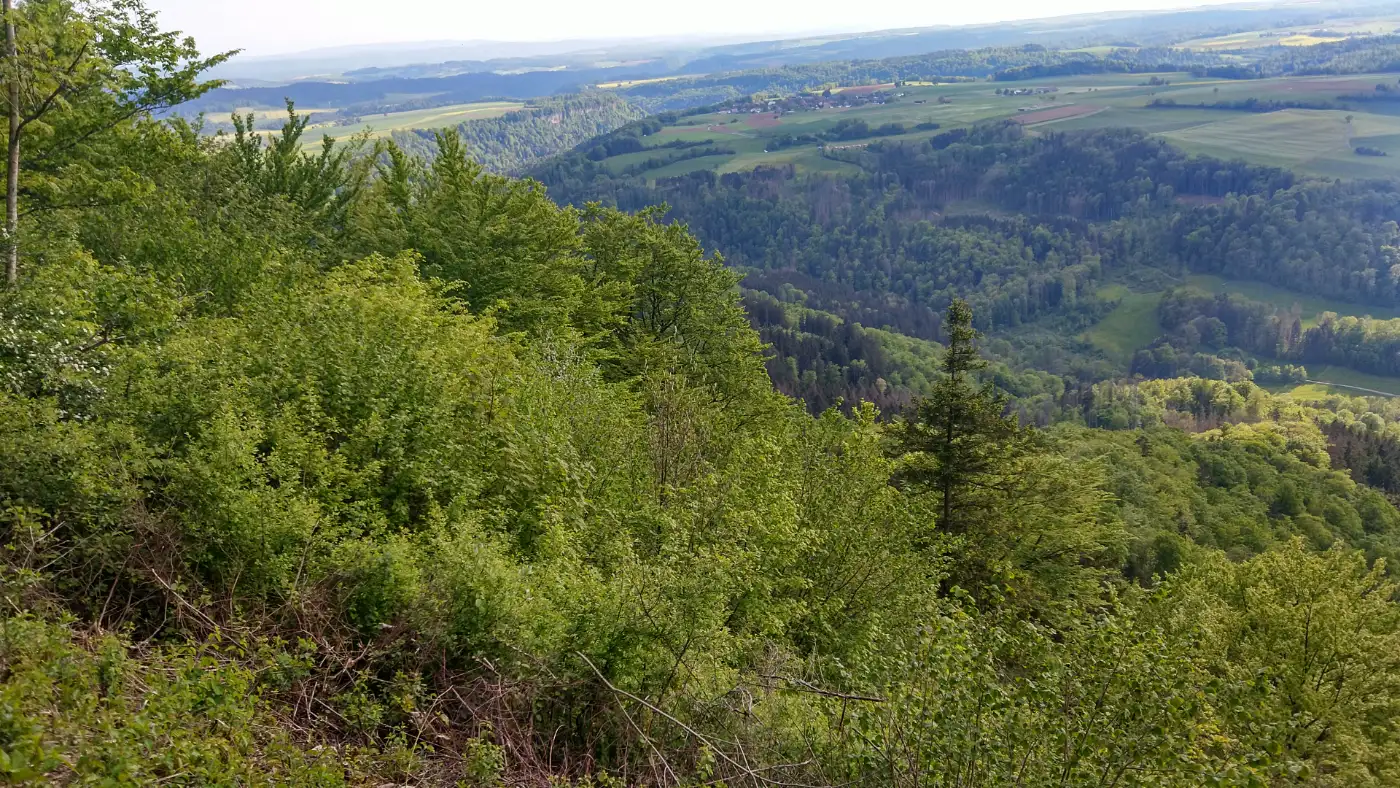 Bildtitel: Blick in die Wutachschlucht