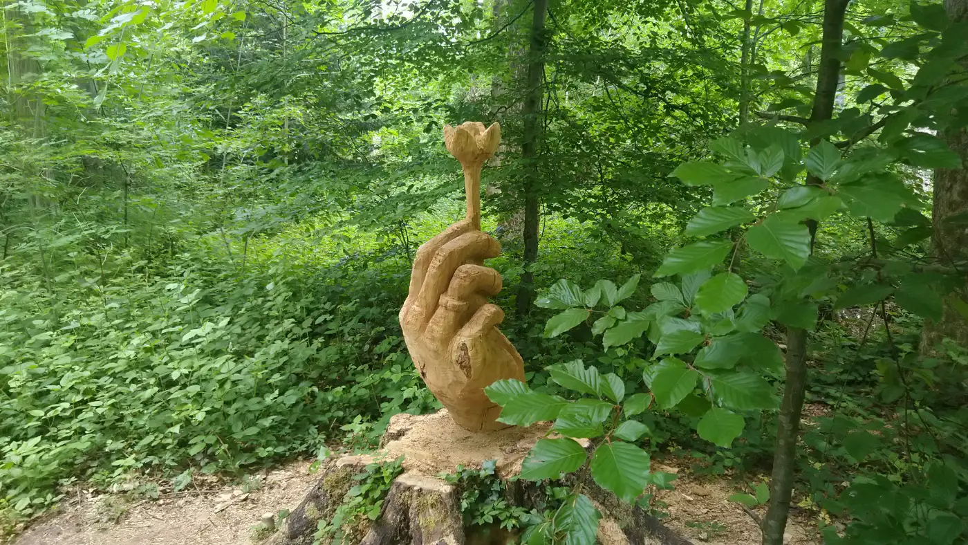 Bildtitel: Blume - Lorettowald