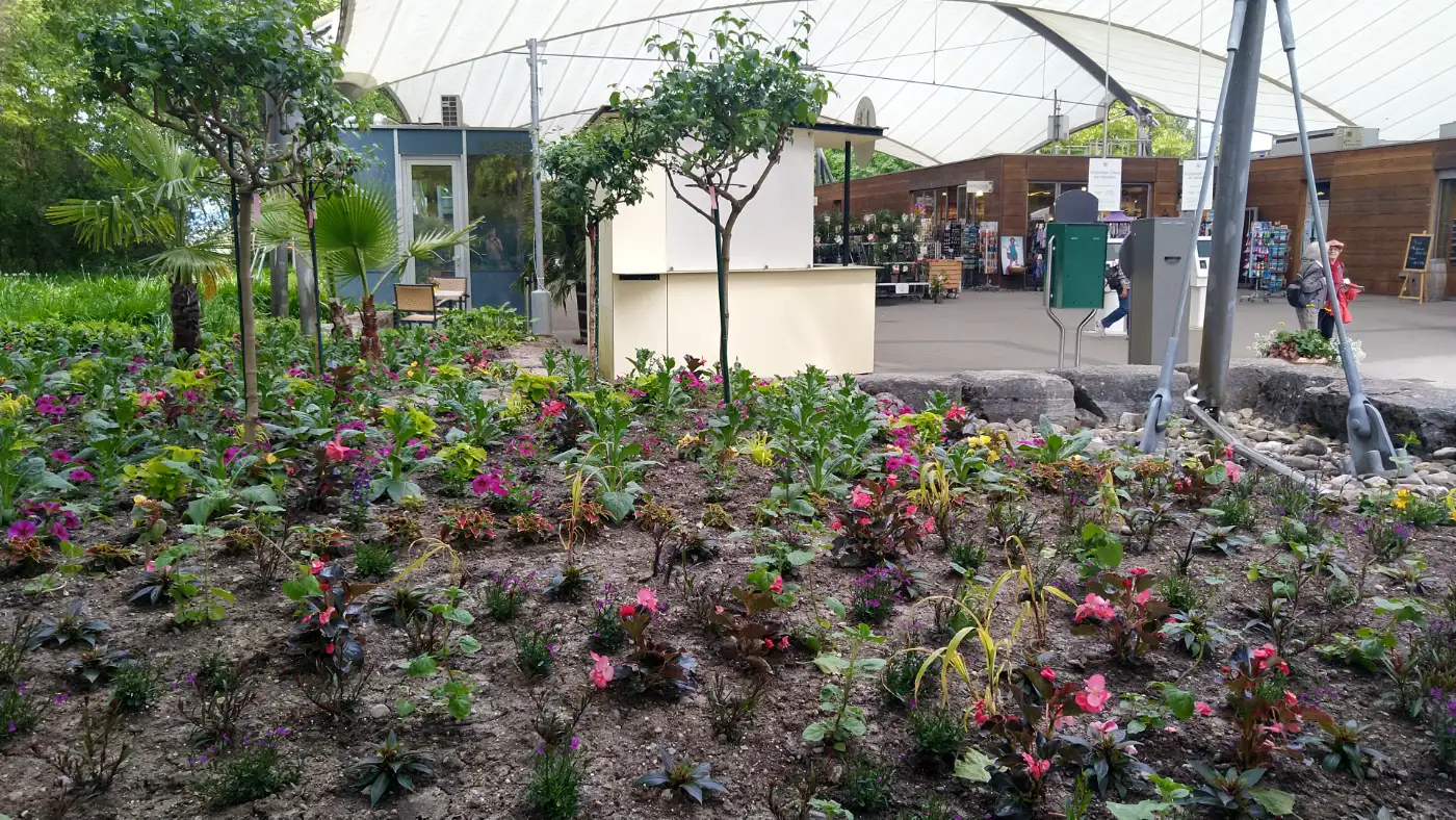 Bildtitel: Eingang zur Insel Mainau