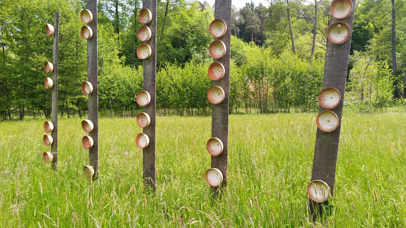 Bildtitel: Schalen der Hoffnung