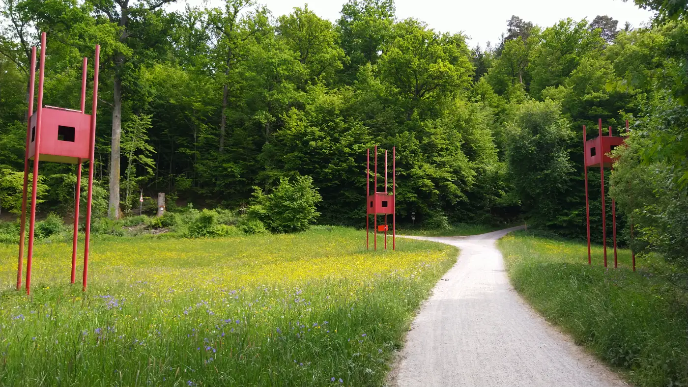 Bildtitel: Woodwatchers