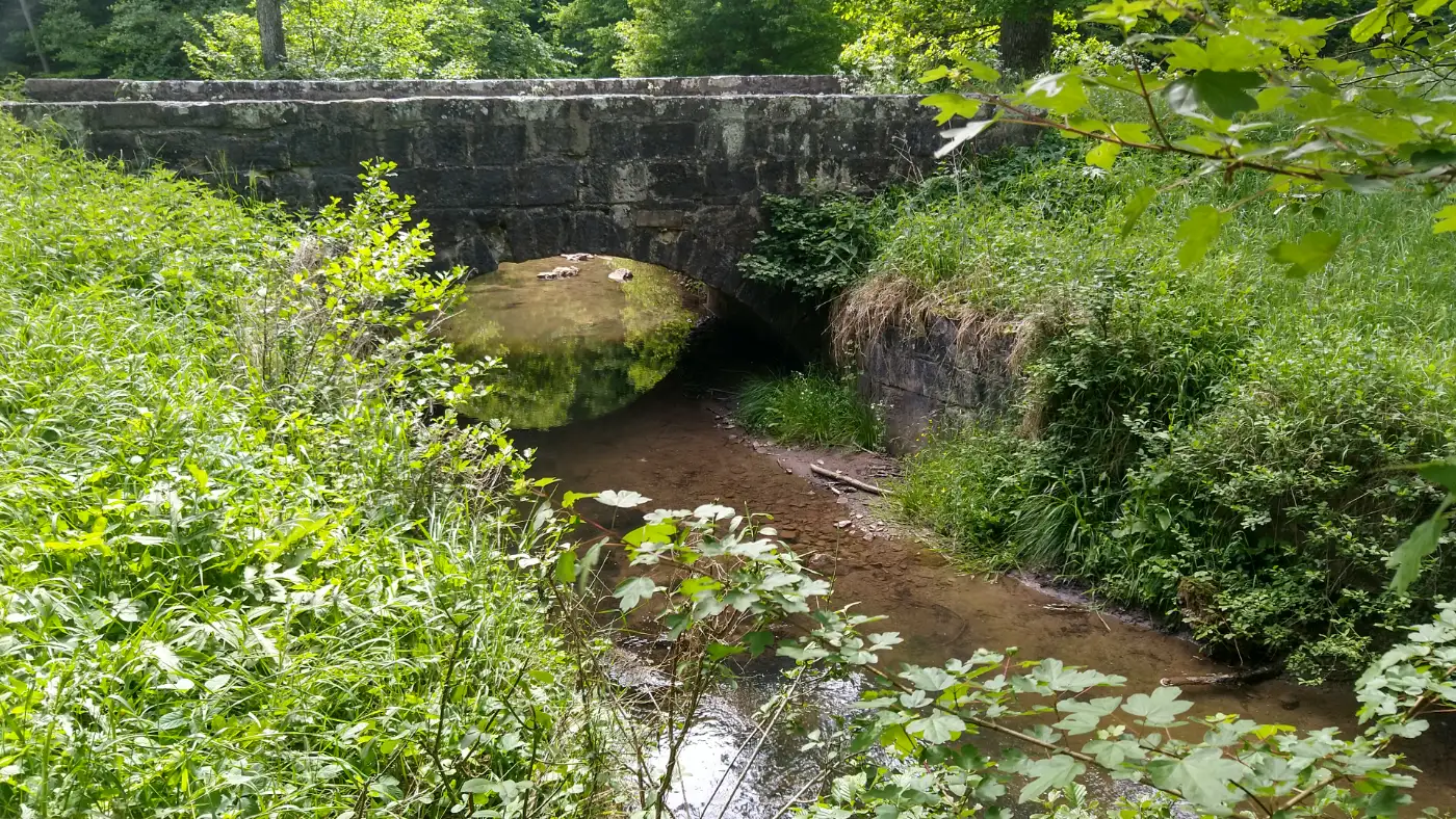 Bildtitel: Bogenbücke