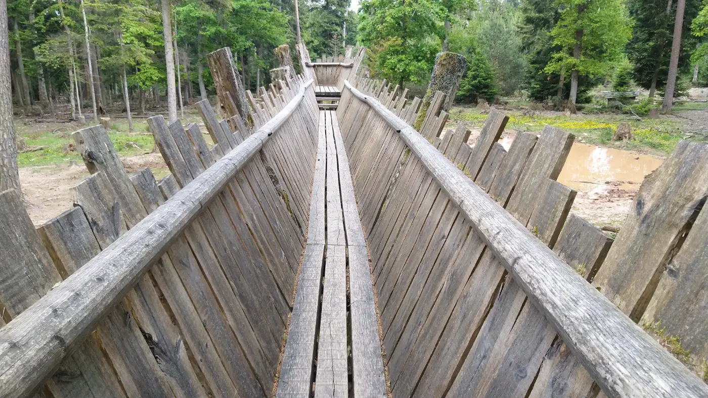 Bildtitel: Aussichtsplattform Wildschweingehege