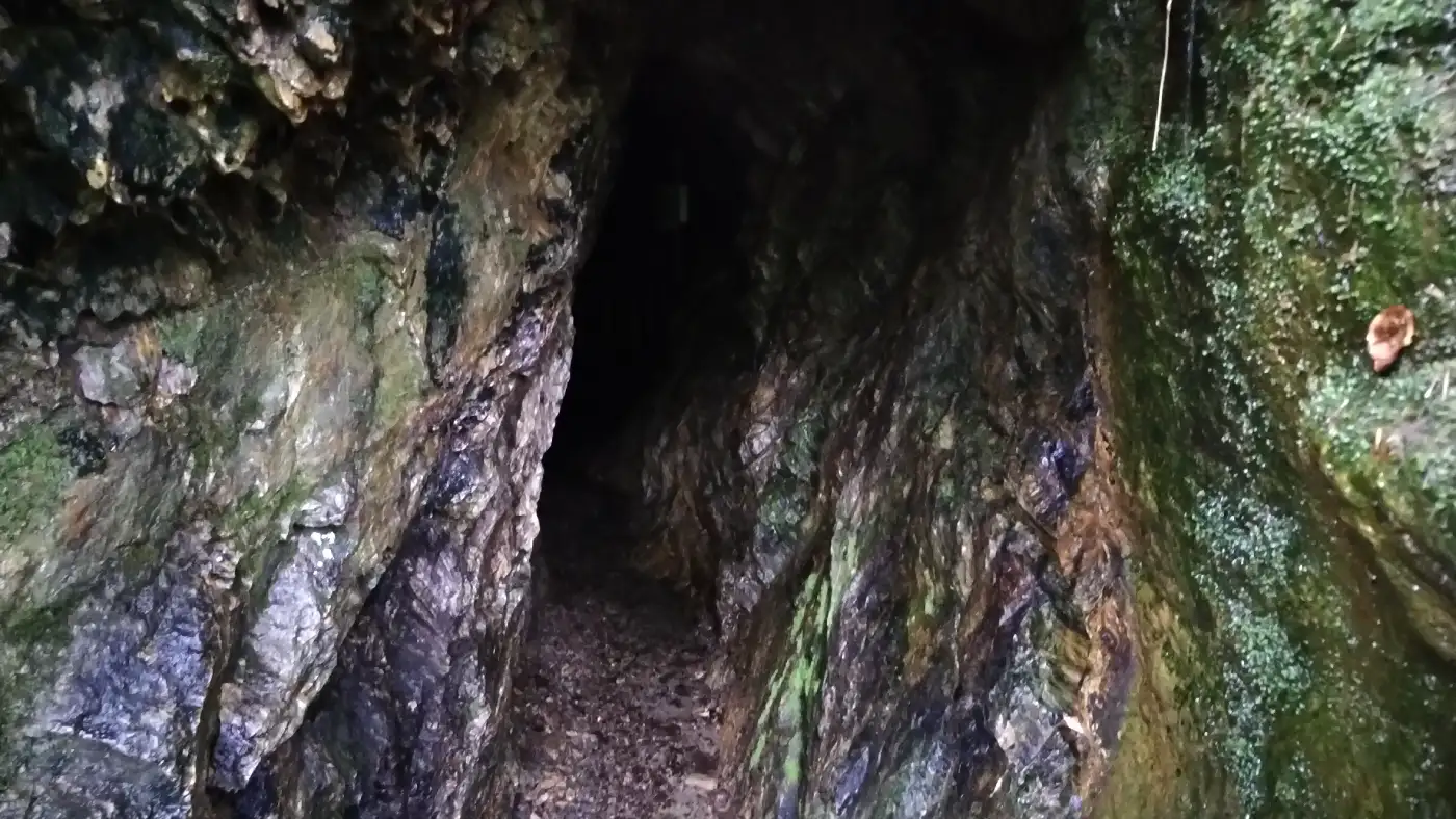 Bildtitel: Fledermaushöhle am Zauberweg