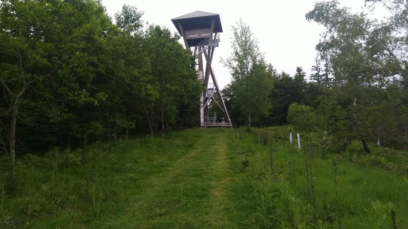 Bildtitel: Hasenbergturm