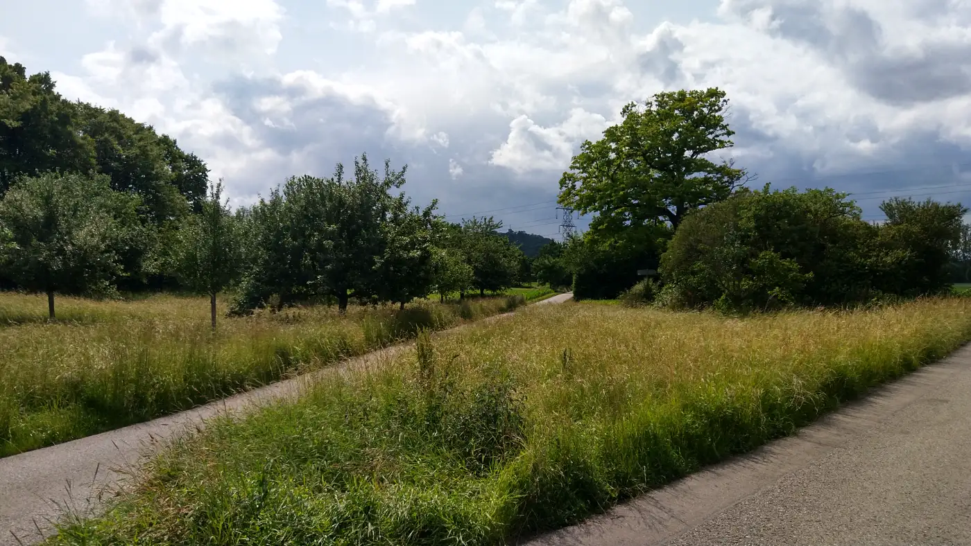 Bildtitel: Festung Hohenasperg