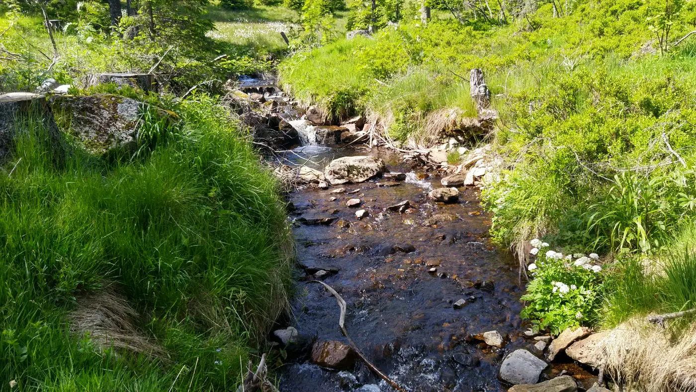 Bildtitel: Der Pragbach