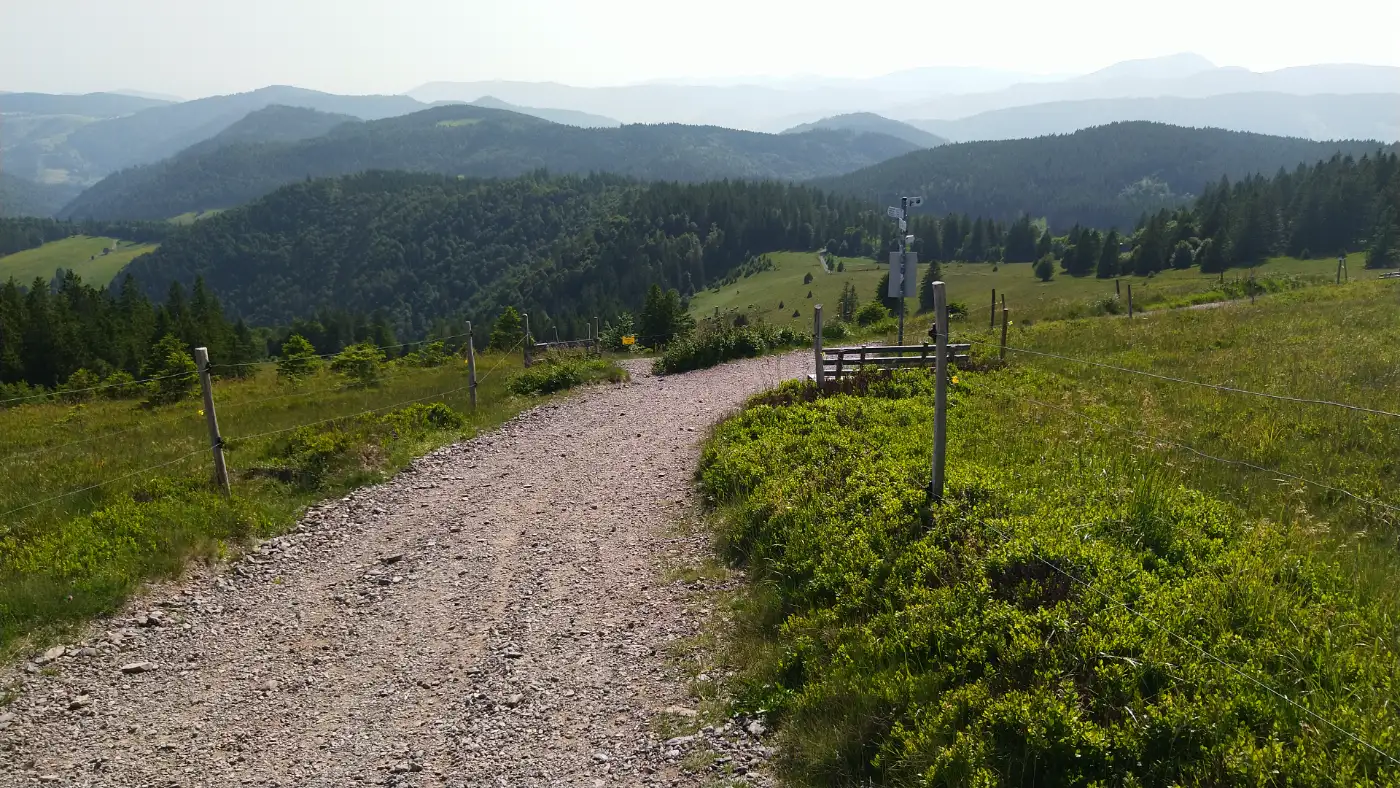 Bildtitel: Aussichtsbank Richtung Belchen