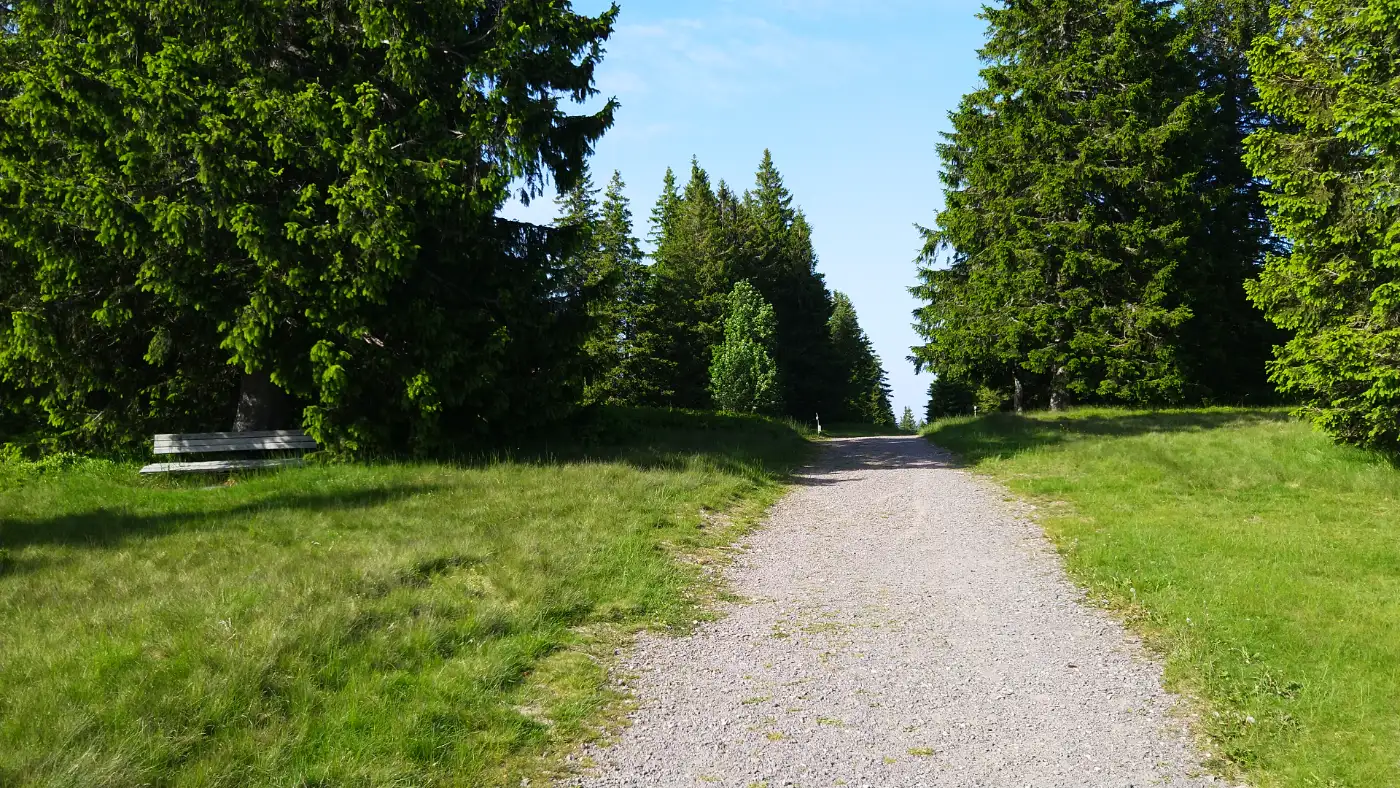 Bildtitel: Grafenmatt