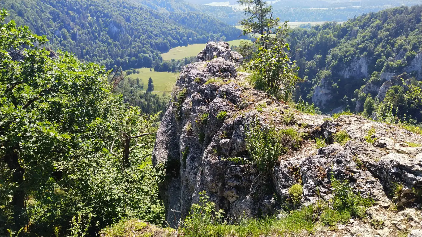 Bildtitel: Stiegelesfels