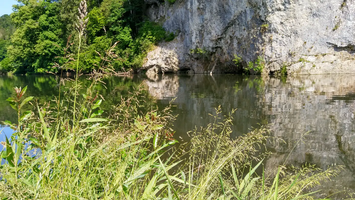 Bildtitel: Donauspiegelungen