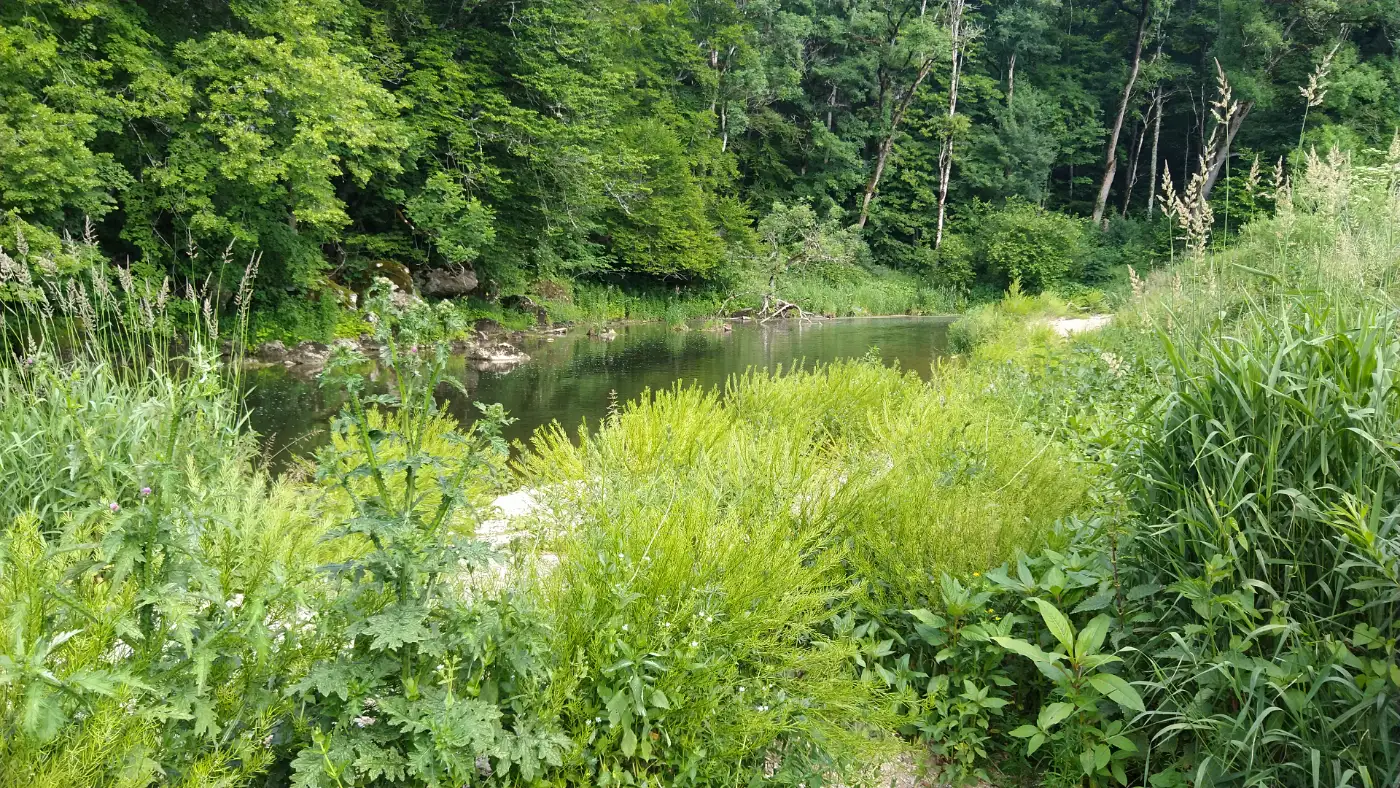 Bildtitel: an der Donau