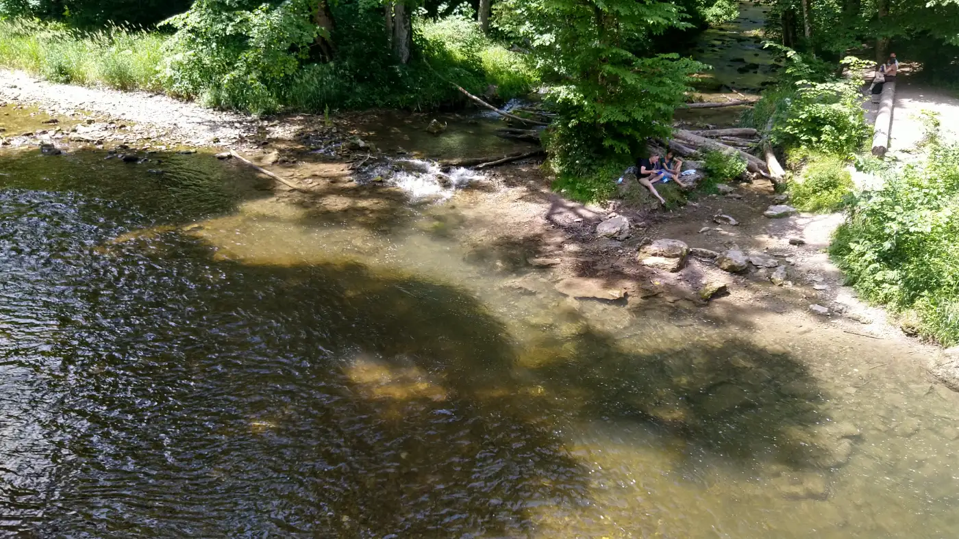 Bildtitel: Gauchachmündung