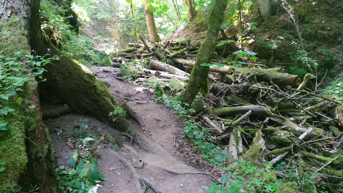 Bildtitel: Engeschlucht