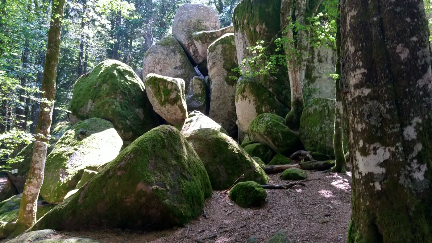Bildtitel: Günterfelsen