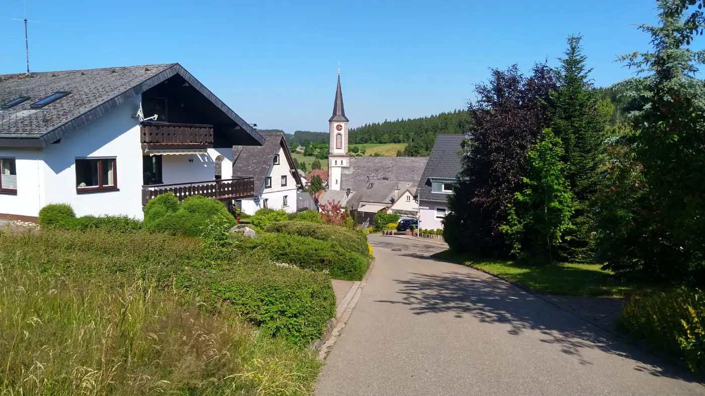 Bildtitel: Schönwald