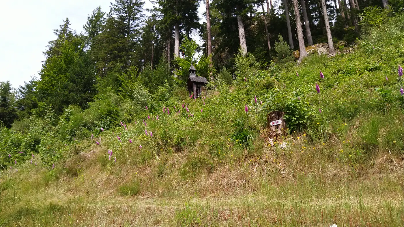 Bildtitel: Lourdesgrotte