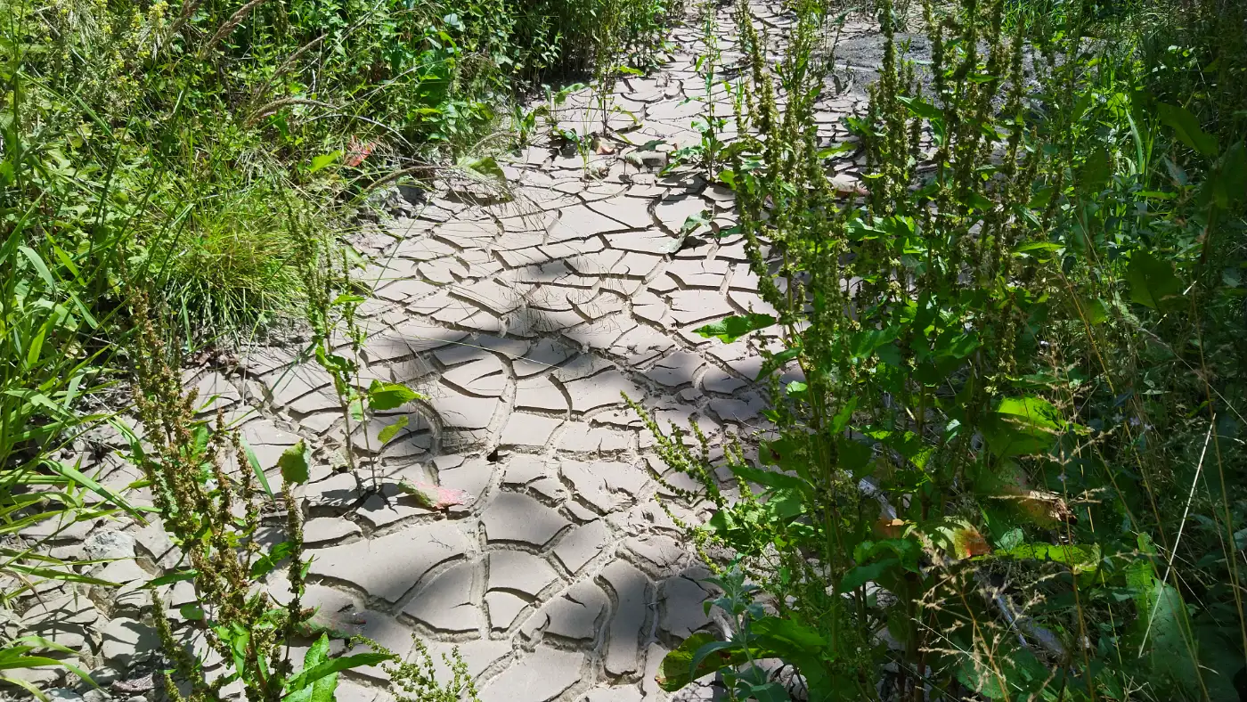 Bildtitel: Mauchach Trockenbachbett