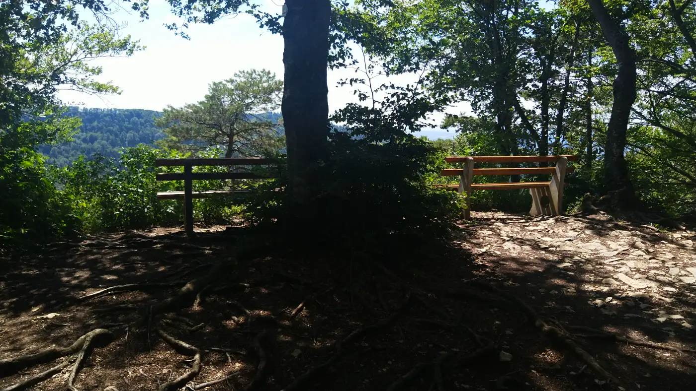 Bildtitel: Heiligenkopf