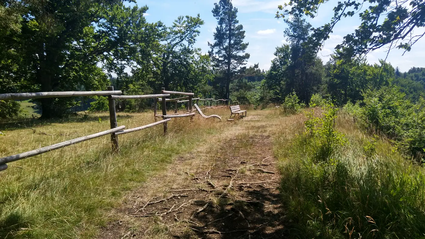 Bildtitel: Blasenberg