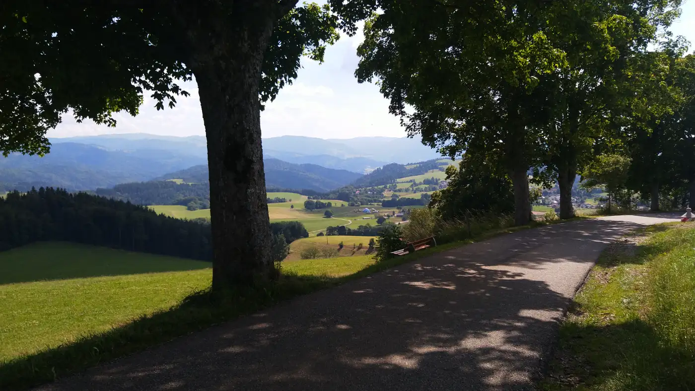 Bildtitel: Blick auf St. Peter