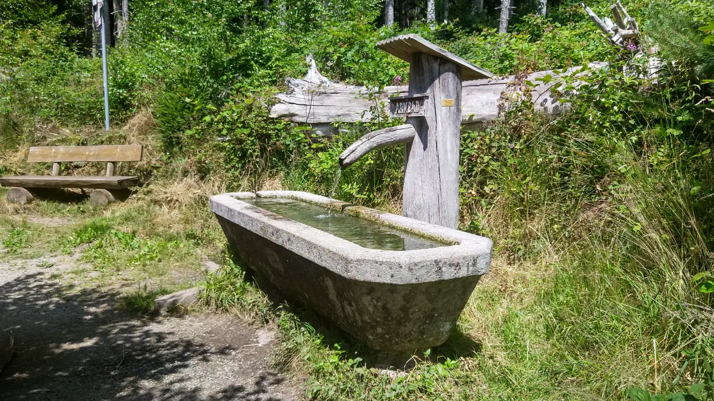 Bildtitel: Armbad am Trimm-dich-Pfad