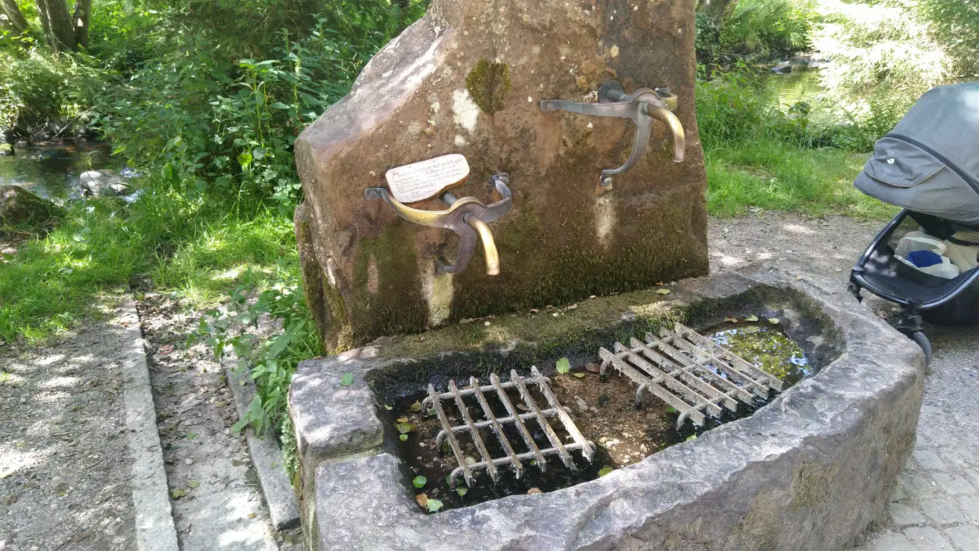 Bildtitel: Romäusquelle