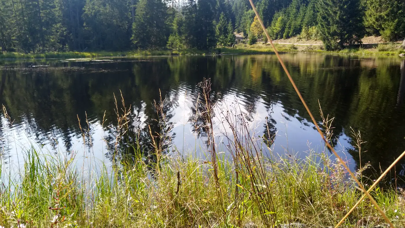 Bildtitel: Pfeiferlochweiher