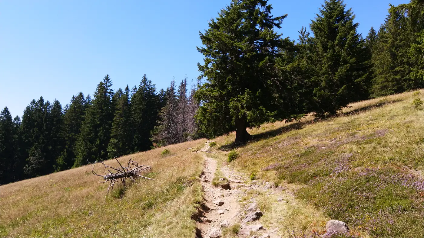 Bildtitel: Aufstieg zum Toten Mann