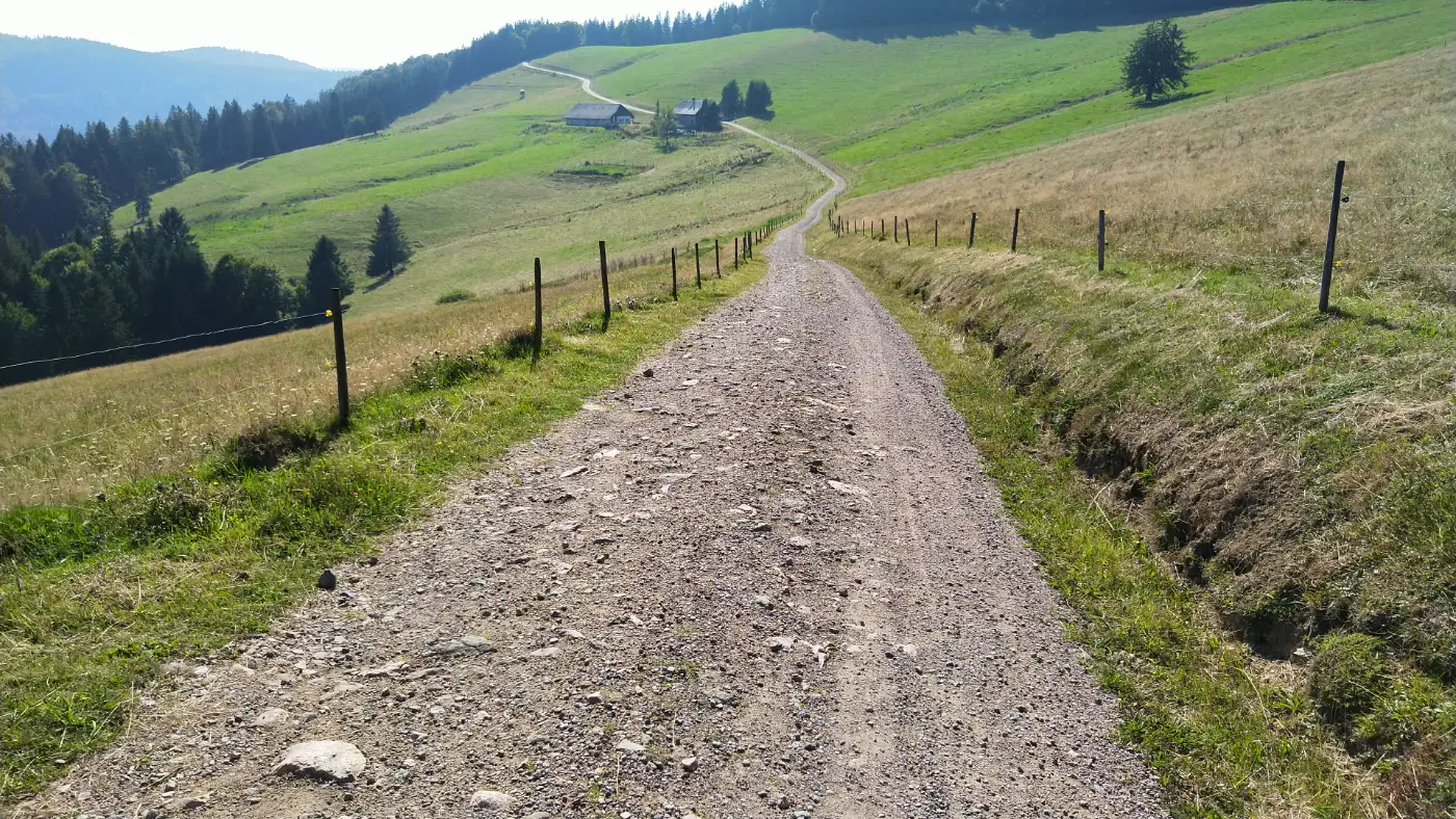 Bildtitel: Weg zur Erlenbacher Hütte