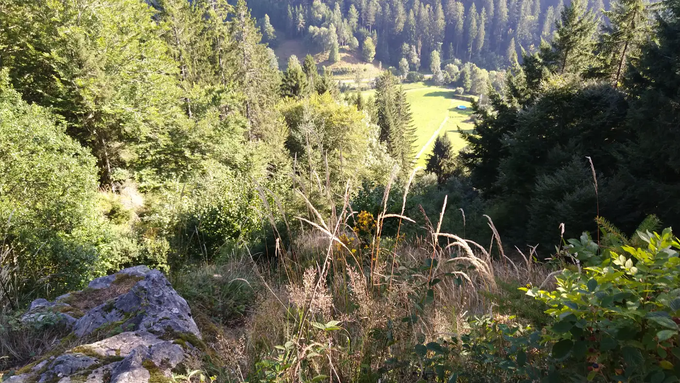 Bildtitel: Abstieg nach St. Willhelm