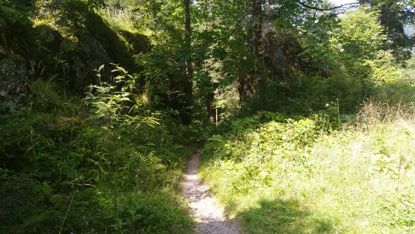 Bildtitel: Weg zu den Zastler Eislöchern