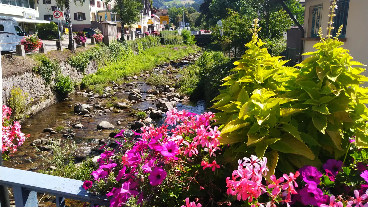 Bildtitel: Ottenhöfen an der Acher