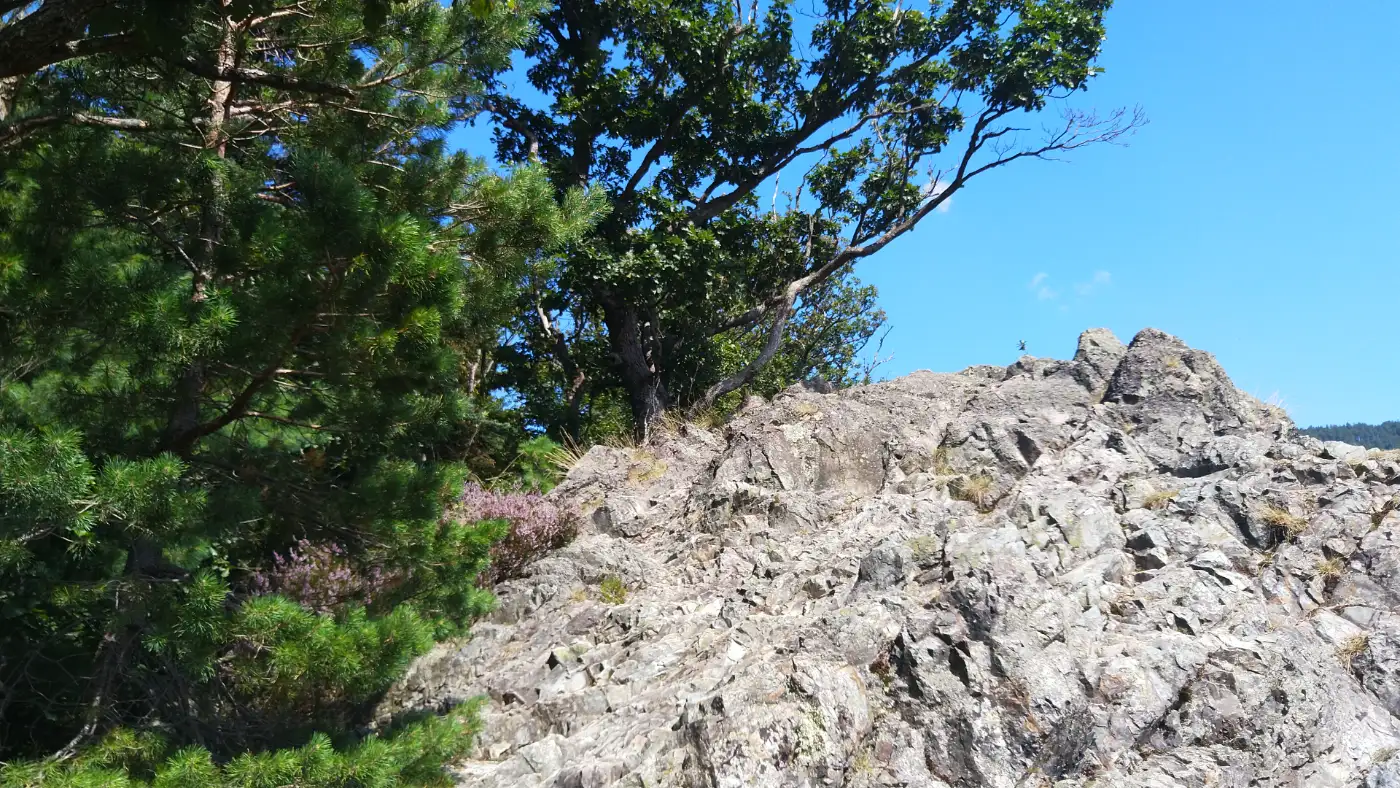 Bildtitel: auf dem Karlsruher Grat