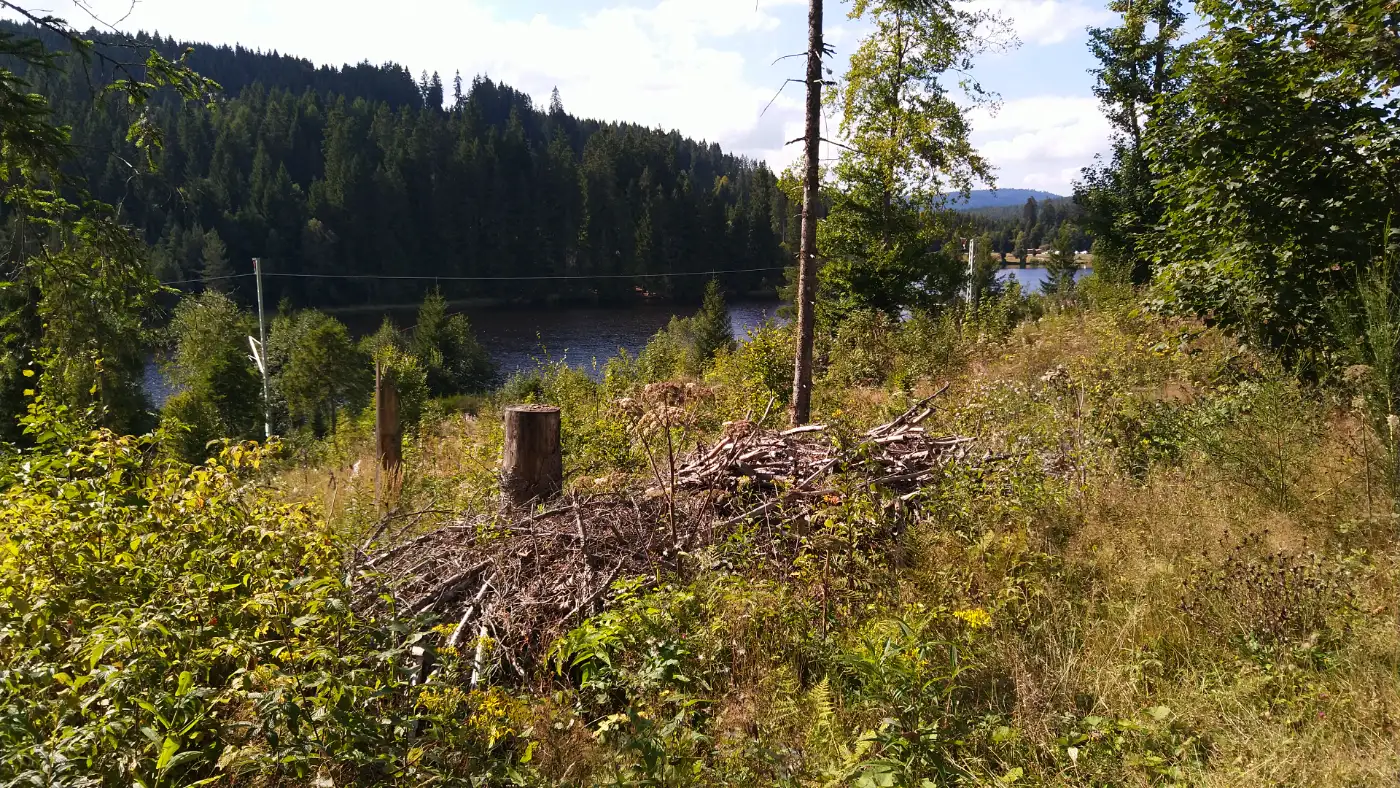 Bildtitel: Windgfällweiher