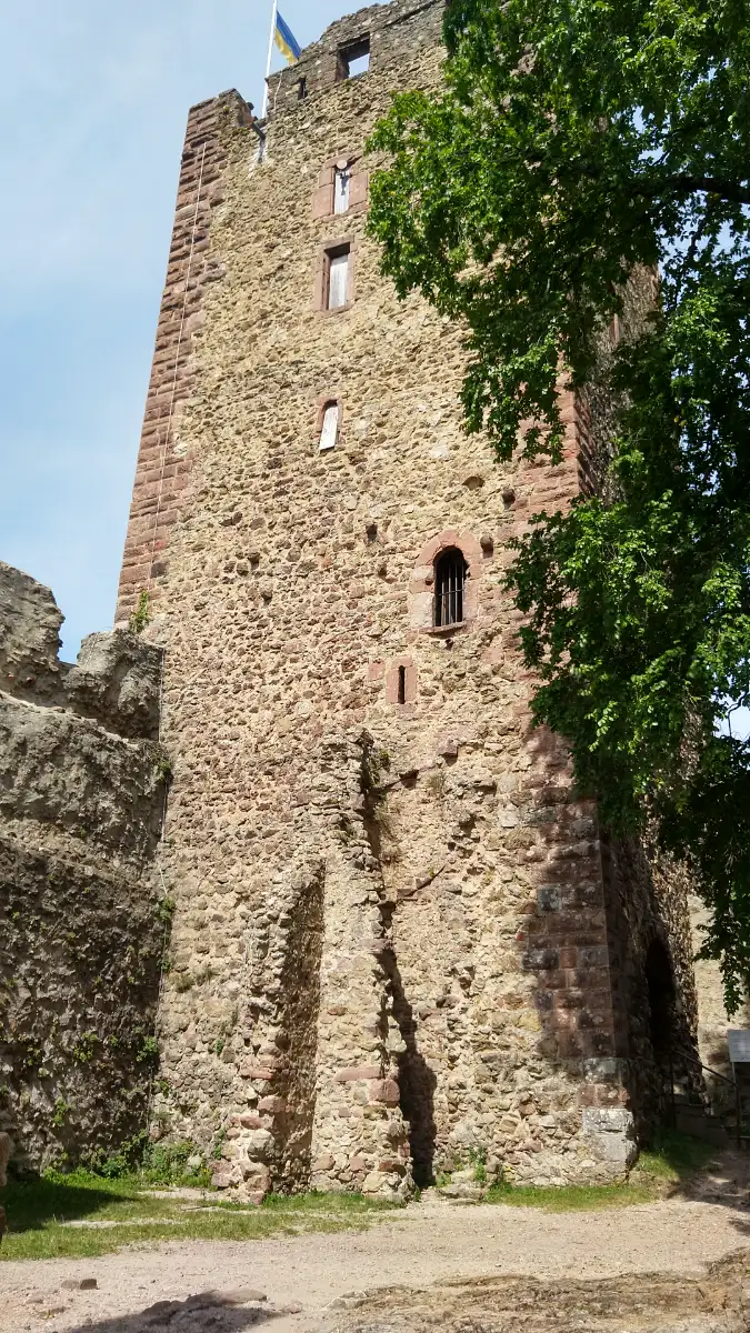 Bildtitel: Burgturm Kastelburg