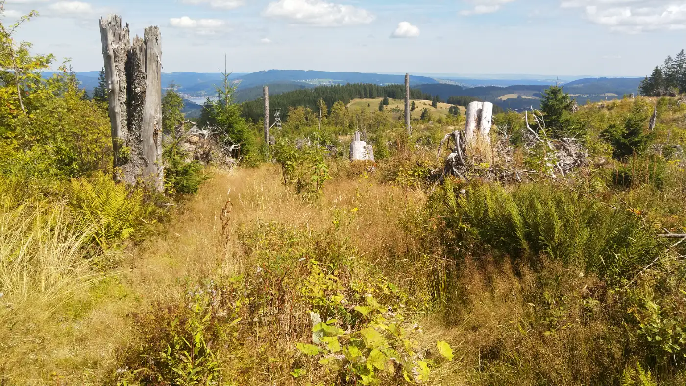 Bildtitel: Aufstieg fast beendet