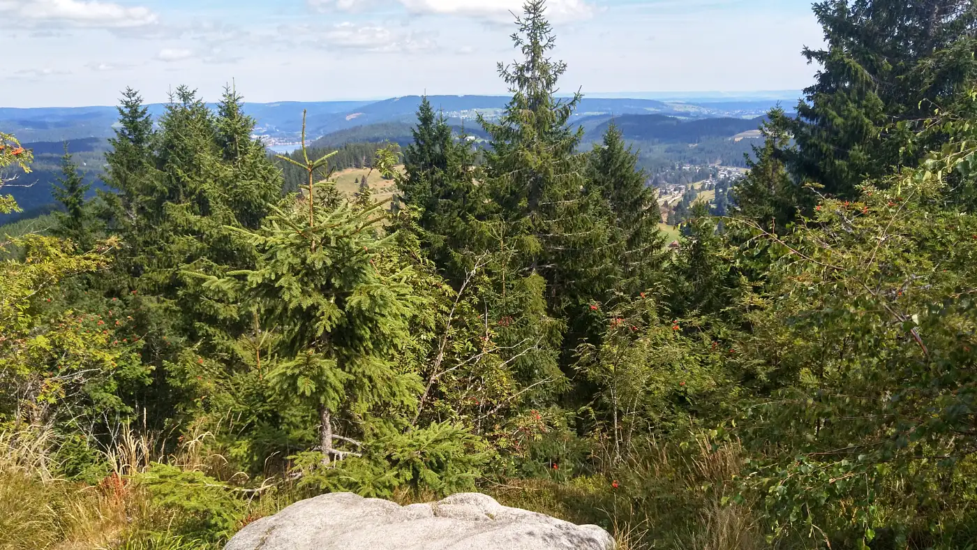 Bildtitel: Zweitälerblick zum Titisee