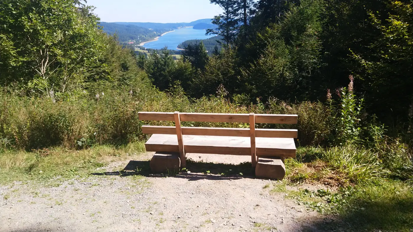 Bildtitel: Aussicht zum Schluchsee