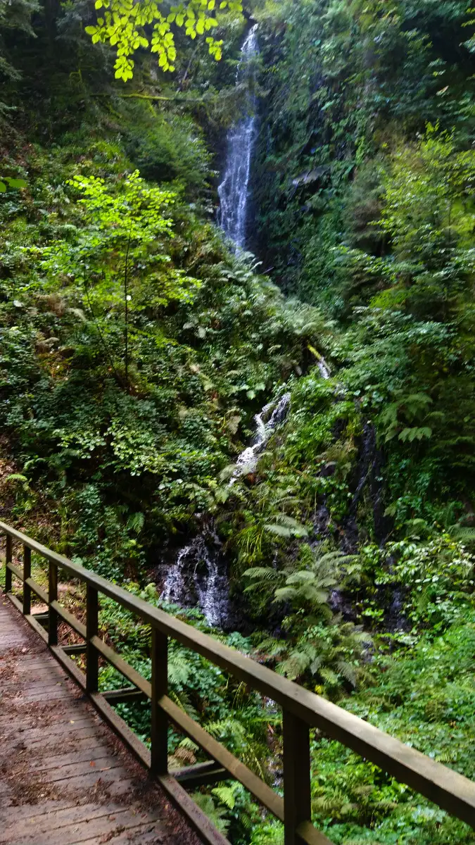 Bildtitel: südlicher Griesbach Wasserfall