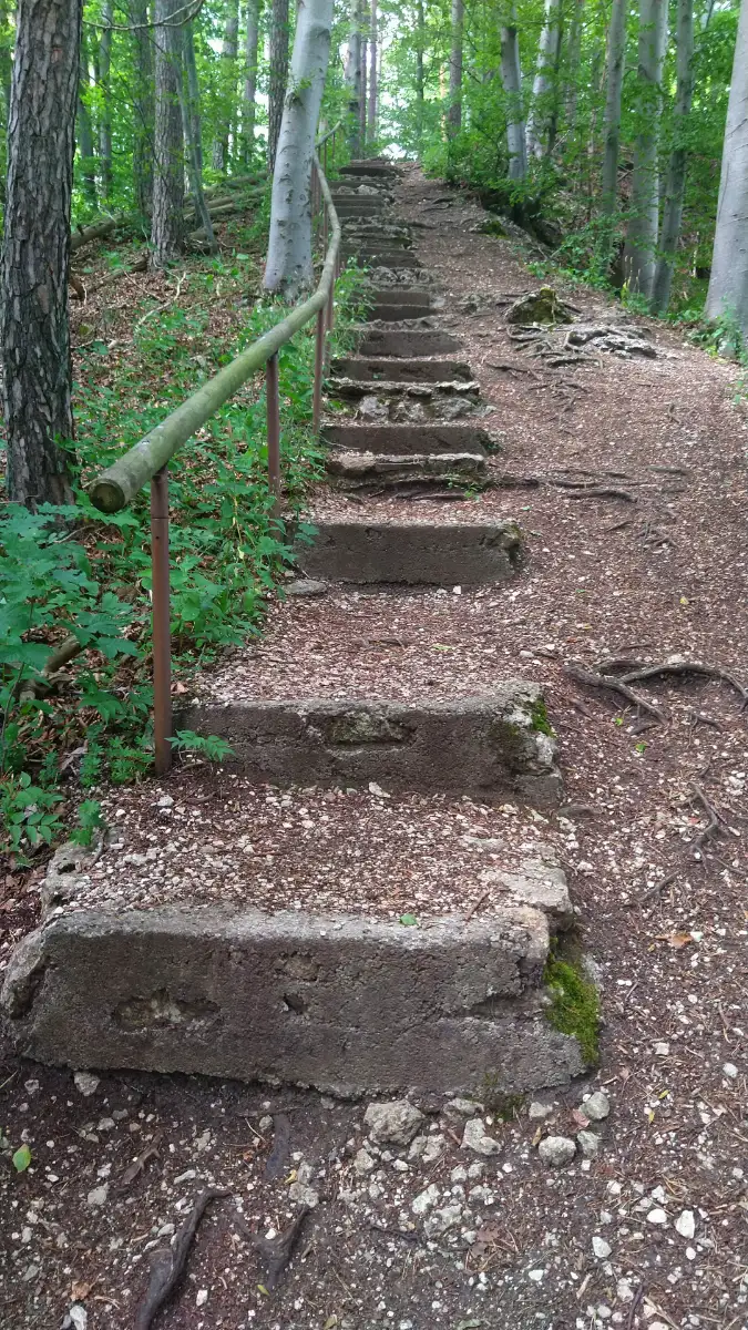 Bildtitel: Hossinger Leiter