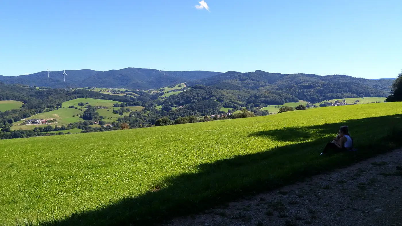 Bildtitel: Blick zum Schauinsland