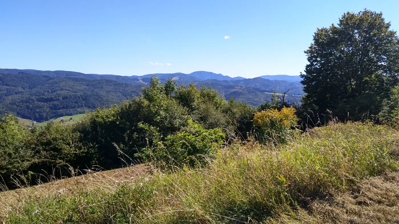 Bildtitel: Aussicht auf den Belchen