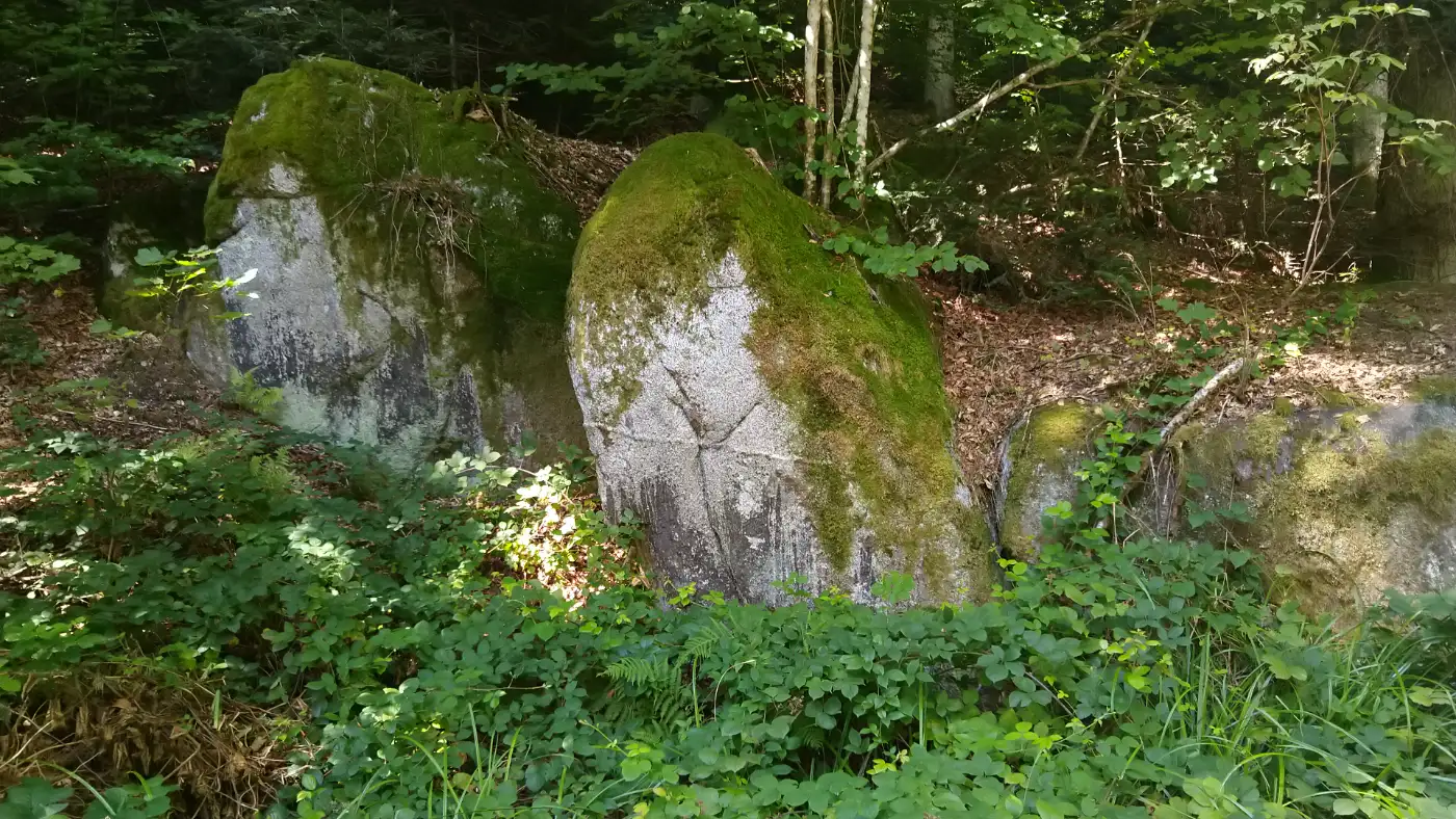 Bildtitel: Weg hinauf zum Eselsberg