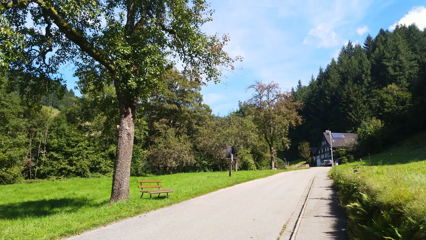 Bildtitel: Haslachsimonswälder Straße