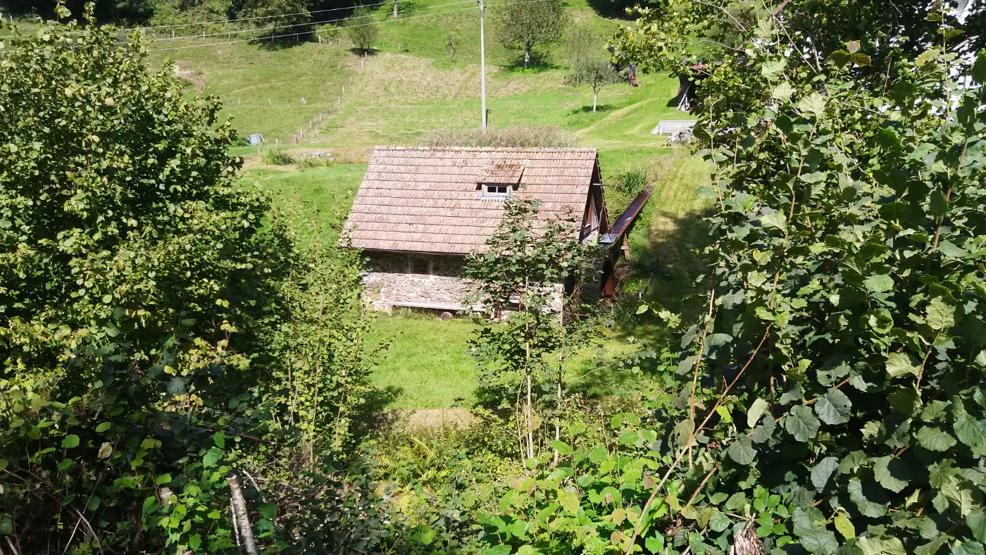 Bildtitel: Mühle