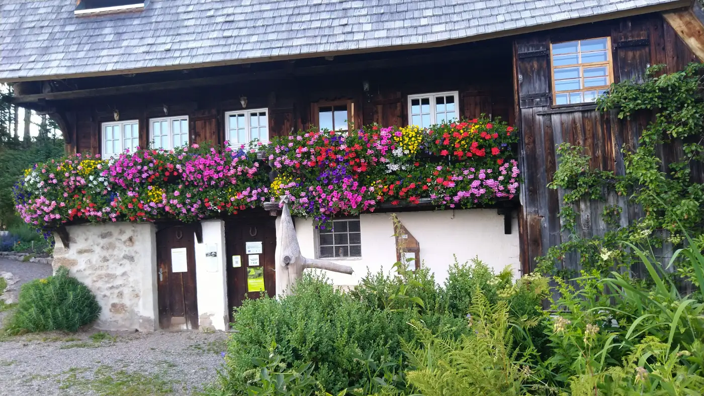 Bildtitel: Rankmühle