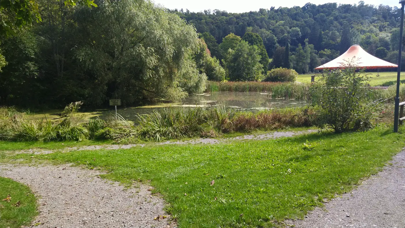 Bildtitel: Kurpark in Bad Niederau mit gepflegtem Teich und Grünflächen