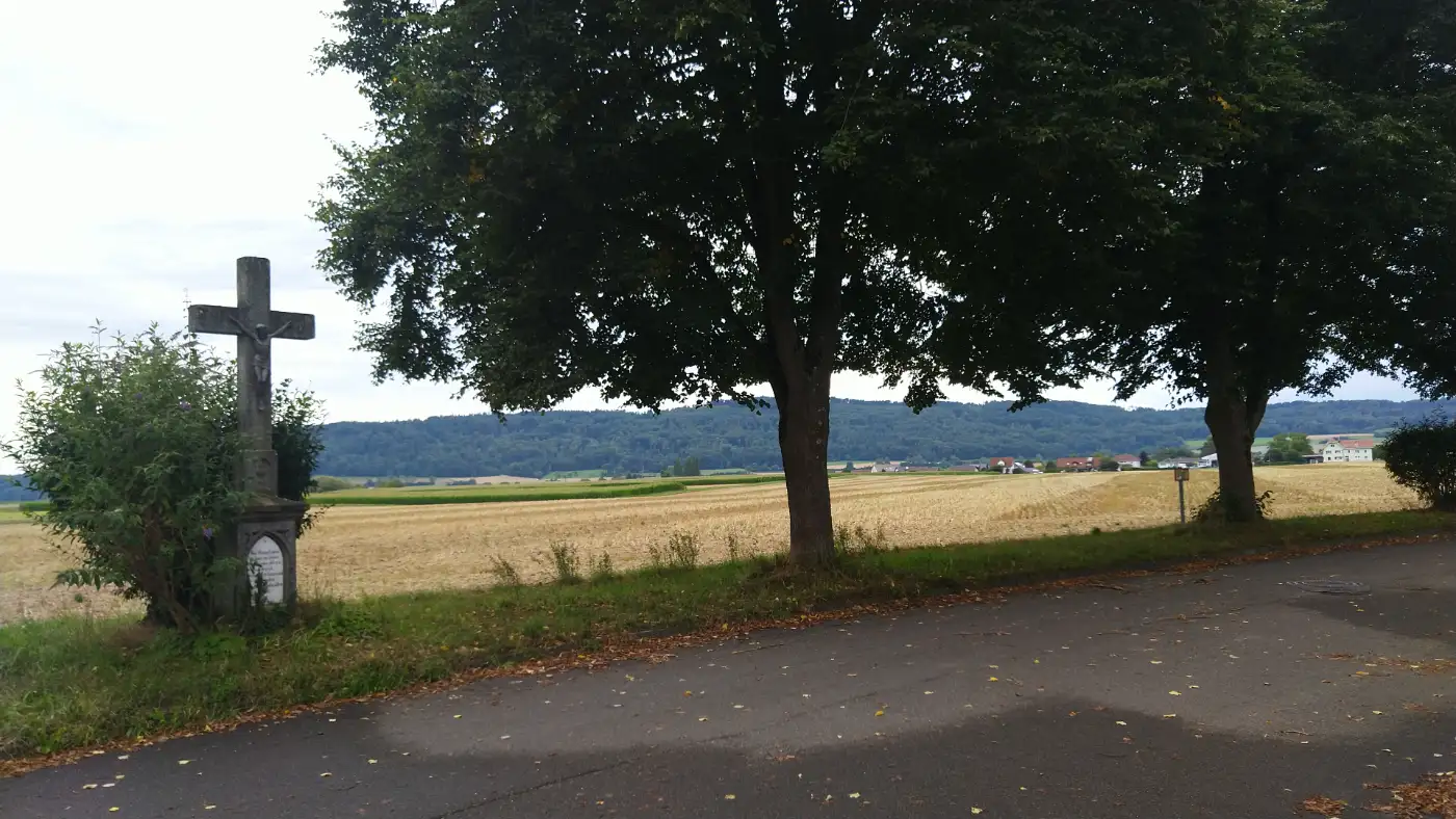 Bildtitel: Wegkreuz an der Straße nach Gottmadingen