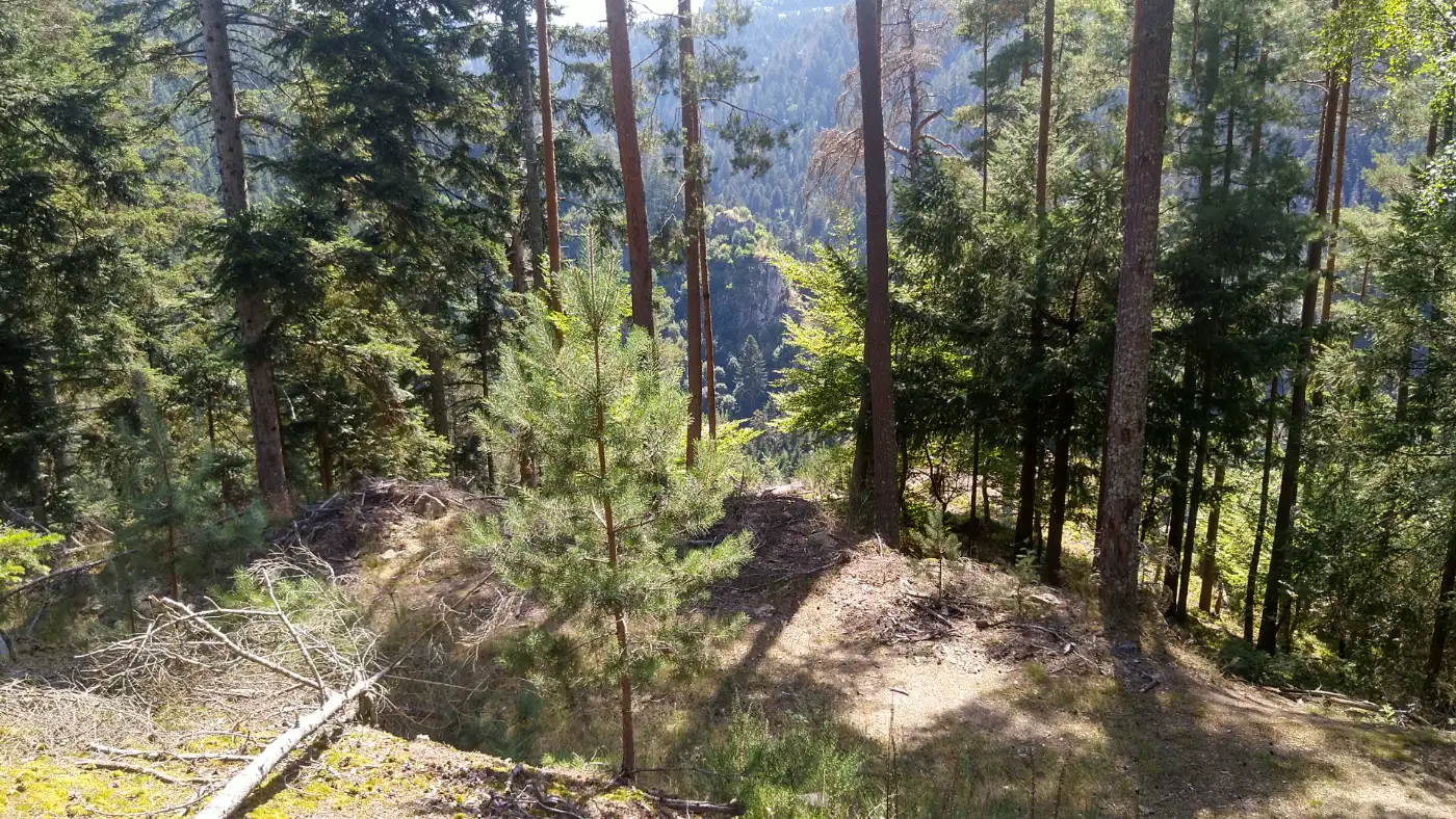 Bildtitel: Erster Blick auf die Burg Berneck